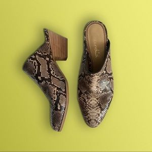 Splendid Hill Snake Print Leather Mules 7.5